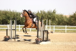 SBM_001236