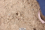 250719-100742-13803