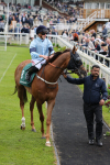 yr13052022r3-19