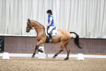 SBM_003077