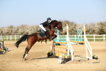 SBM_001013