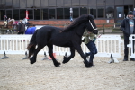 SBM_003980