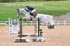BPP_2593
