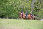 WJ6_2006