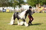 SBM_08821