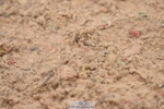 230628A-160812-01011