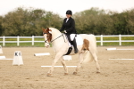 SBM_006534