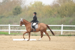SBM_005973