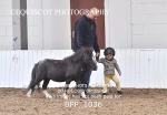 BPP_1036