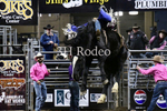 Reigns Provost_DSC2073