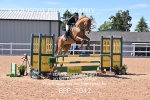 BPP_7042
