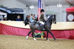 SBM_23418