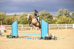 SBM_008850