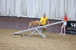 SBM_004610