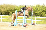 SBM_001987