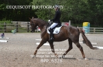 BPP_6328