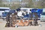 BPP_2830