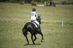 BVHT 140517  IXC -598