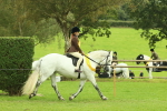 SBM_74975