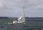 ROUND THE ISLAND RACE - 30th June 2012 portfolio