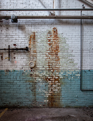 Syracuse China (Syracuse, NY) | Stain