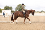 SBM_02808