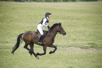 BVHT 140517  NXC -369