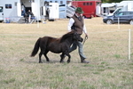 WJ6_6837