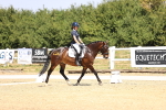 SBM_003913