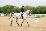 SBM_005888