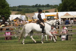 SBM_07583
