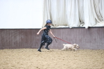 SBM_001229