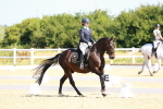 SBM_009695