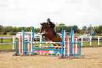 SBM_000951