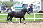 SBM_01101