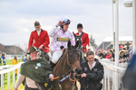 110325-Race 5-Golden Ace-3513