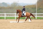 SBM_006615