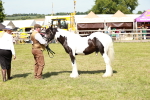 SBM_08648