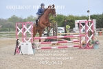 BPP_4411