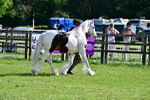 SBM_10062