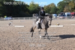 BPP_8826