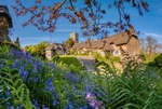 z4158 A Taste of Spring, Godshill