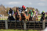 250225-Race 3-Ballyvango-6224