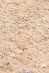 231013A-152652-03025