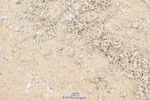 250613A-135432-01761