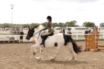 SBM_06097