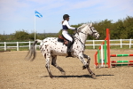 SBM_002216