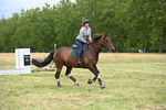 WJ6_3842