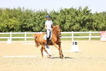 SBM_010080