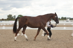 SBM_06947